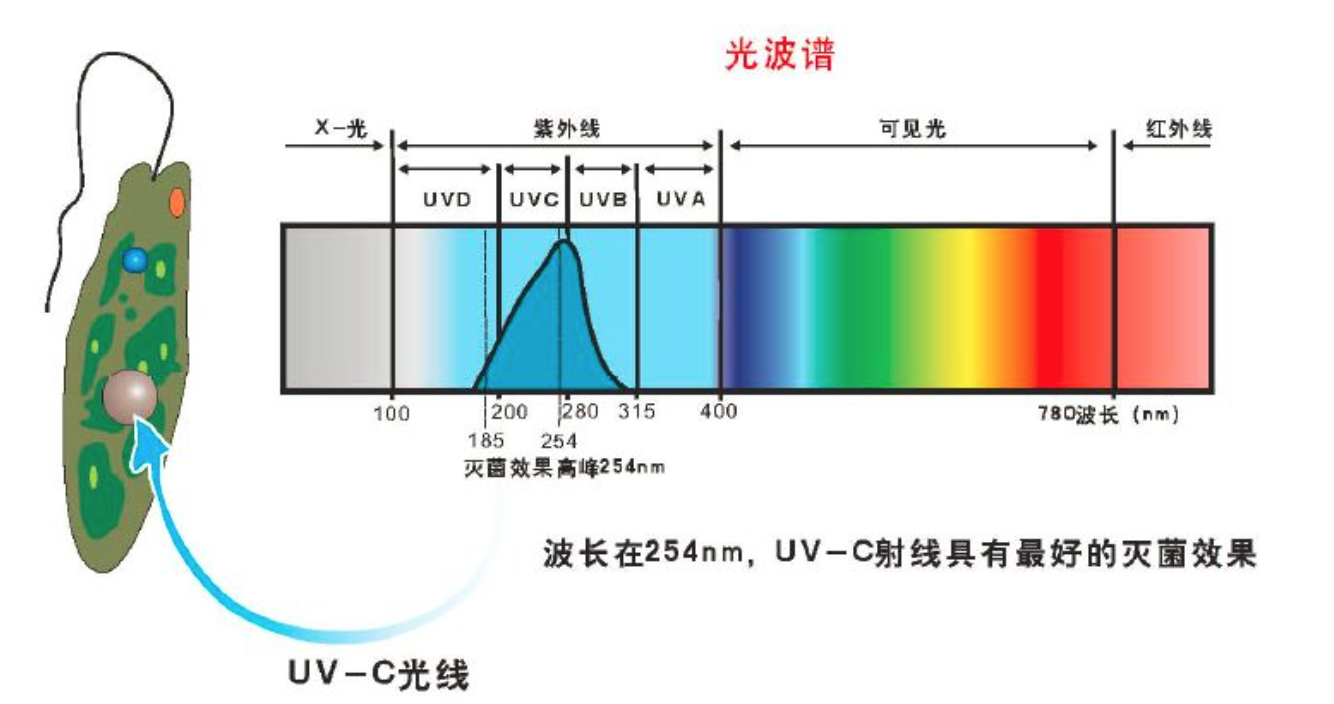 Screen Shot 2020-02-19 at 下午3.54.22.png
