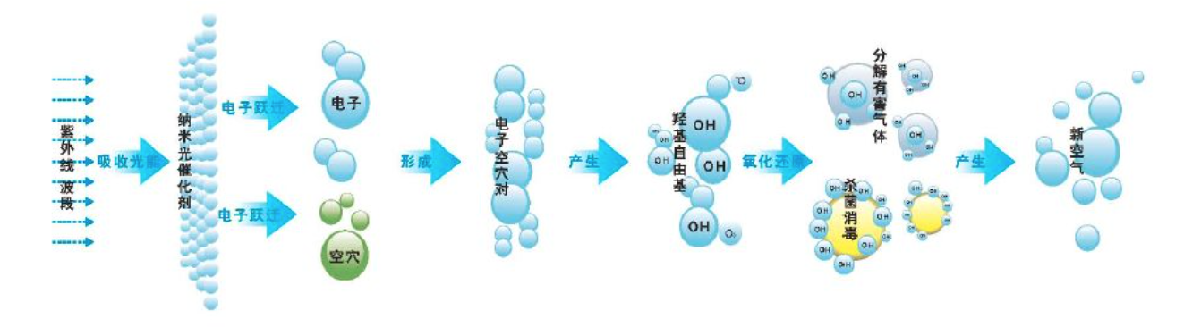 Screen Shot 2020-02-19 at 下午3.54.34.png