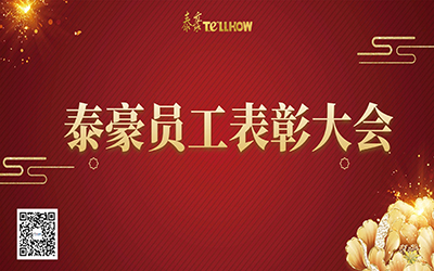 泰豪表彰 | 一路同行，“云”享慶典~