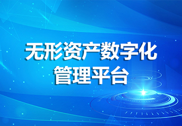 無形資產(chǎn)數(shù)字化管理平臺(tái)
